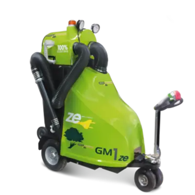 GM1ze